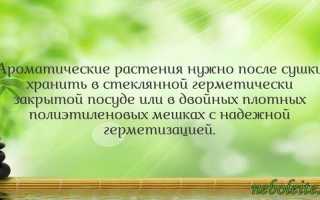 Осмотр мужчины на урологическом кресле