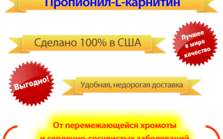 L карнитин применение в урологии