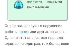 Лейкоциты, белок и эритроциты в моче — Анализы мочи, Общий анализ мочи