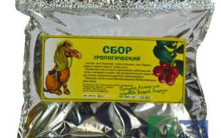 Как приготовить урологический сбор