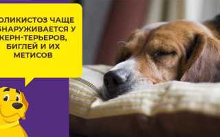 Лечение хпн при диабете — Лечение диабета