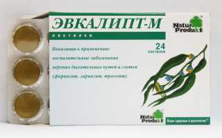 Эвкалипт: поможет при воспалениях и инфекциях