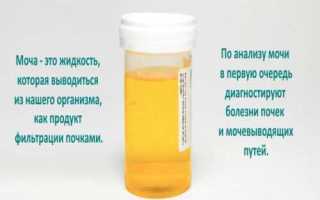 Сколько можно хранить мочу для анализа и как