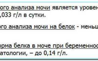 Суточный анализ мочи на белок при беременности: как правильно собирать и сдавать?