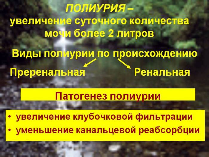 хроническая почечная недостаточность симптомы и лечение