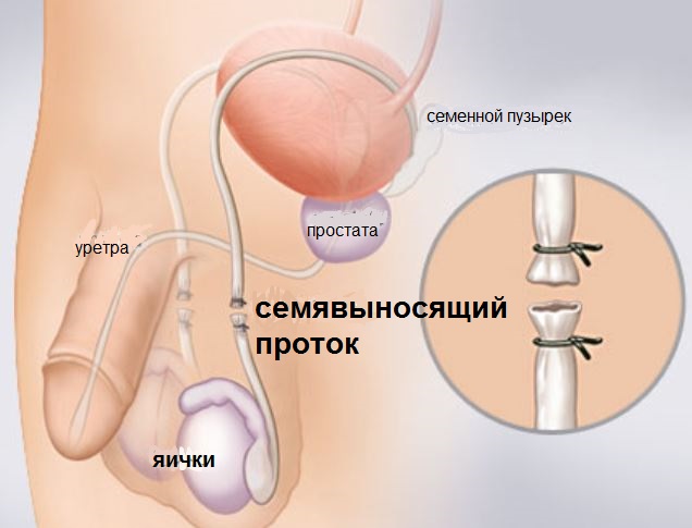 АНДРОЛОГИЧЕСКИЙ ЦЕНТР - МОСКВА