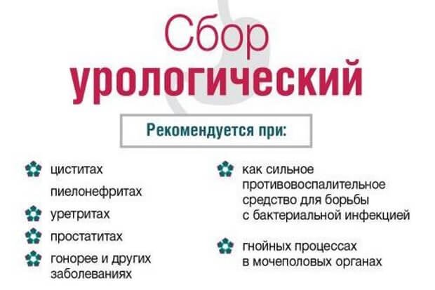 урологический сбор для профилактики
